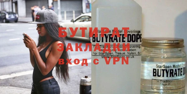 индика Алексин