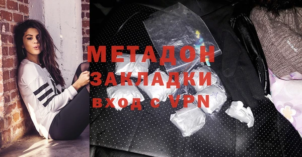 индика Алексин