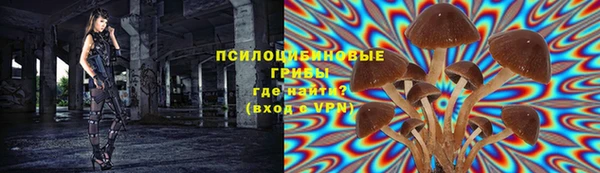 мет Абаза
